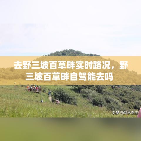去野三坡百草畔实时路况,野三坡百草畔自驾能去吗