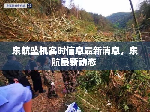 东航坠机实时信息最新消息，东航最新动态 