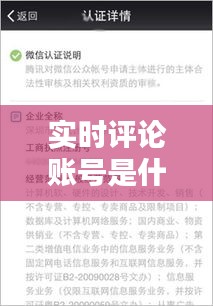 实时评论账号是什么，实时评论员 