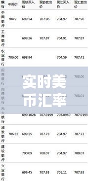 实时美币汇率，实时美币汇率走势 