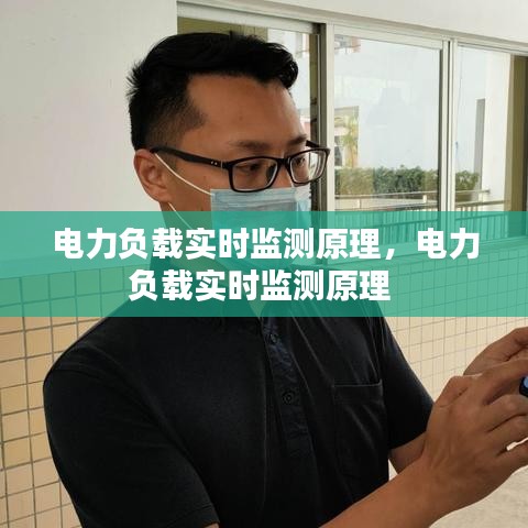 电力负载实时监测原理,电力负载实时监测原理