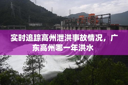 实时追踪高州泄洪事故情况,广东高州哪一年洪水