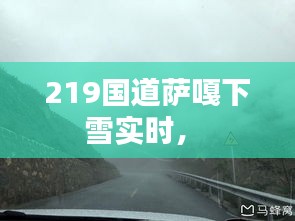 219国道萨嘎下雪实时,