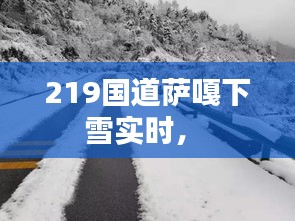 219国道萨嘎下雪实时， 