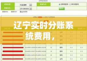 辽宁实时分账系统费用,