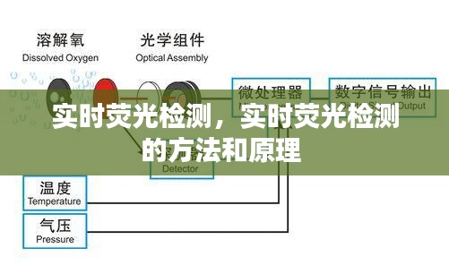雍容尔雅 第4页