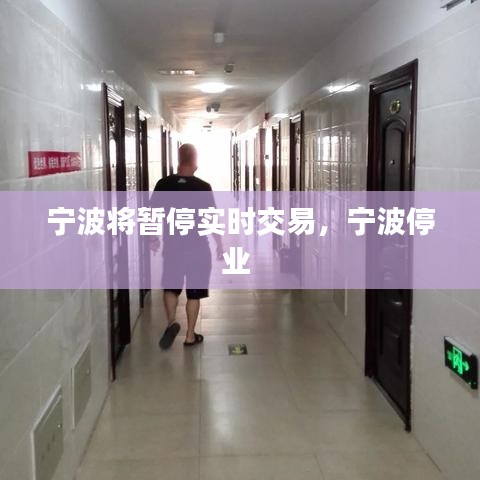 宁波将暂停实时交易,宁波停业