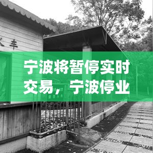宁波将暂停实时交易，宁波停业 