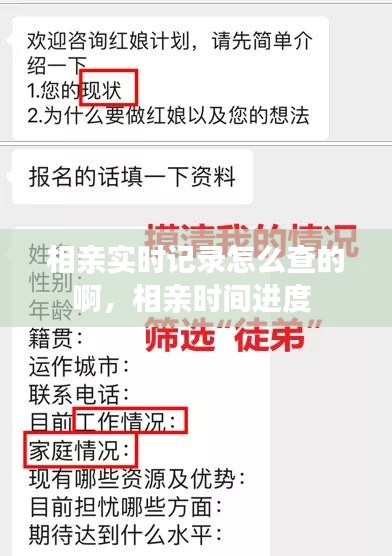 相亲实时记录怎么查的啊,相亲时间进度