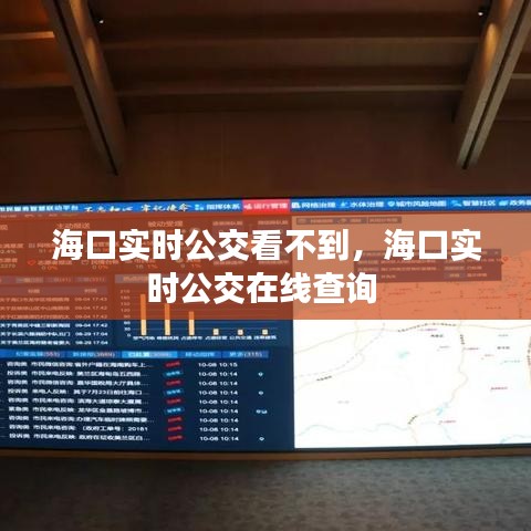 海口实时公交看不到,海口实时公交在线查询
