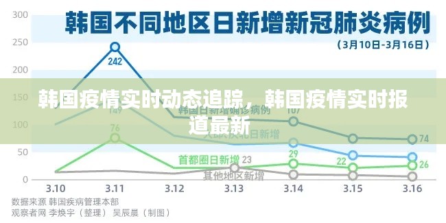 韩国疫情实时动态追踪,韩国疫情实时报道最新
