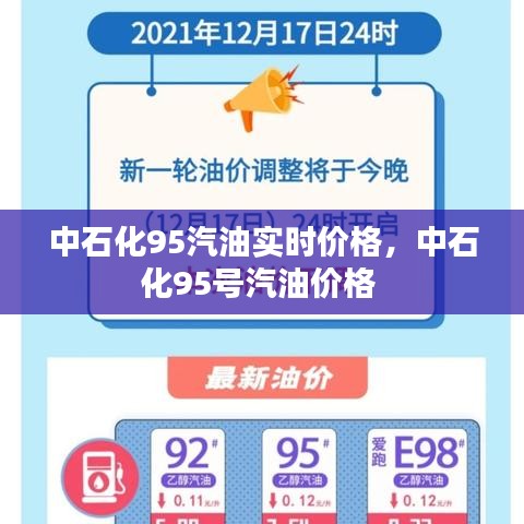 中石化95汽油实时价格,中石化95号汽油价格