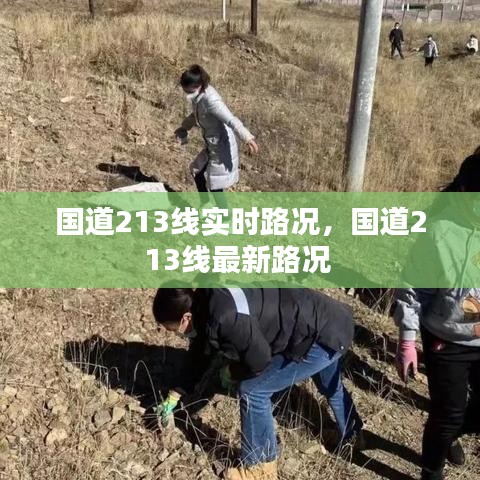国道213线实时路况,国道213线最新路况