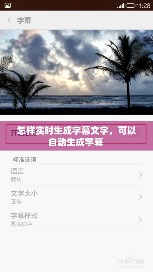 怎样实时生成字幕文字，可以自动生成字幕 
