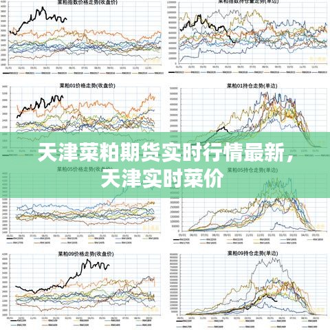 天津菜粕期货实时行情最新,天津实时菜价