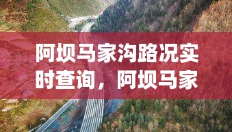 阿坝马家沟路况实时查询,阿坝马家沟路况实时查询最新消息