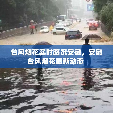 台风烟花实时路况安徽,安徽台风烟花最新动态