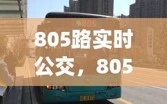 805路实时公交，805路公交车实时路线 