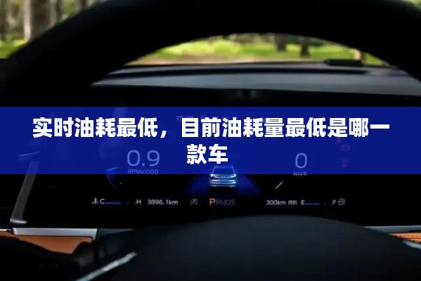 实时油耗最低，目前油耗量最低是哪一款车 