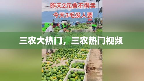 三农大热门,三农热门视频