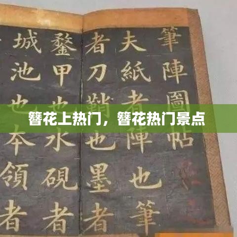 簪花上热门，簪花热门景点 
