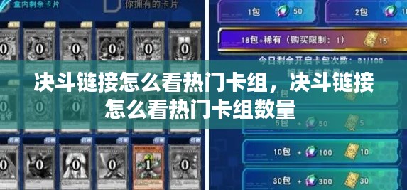 决斗链接怎么看热门卡组,决斗链接怎么看热门卡组数量
