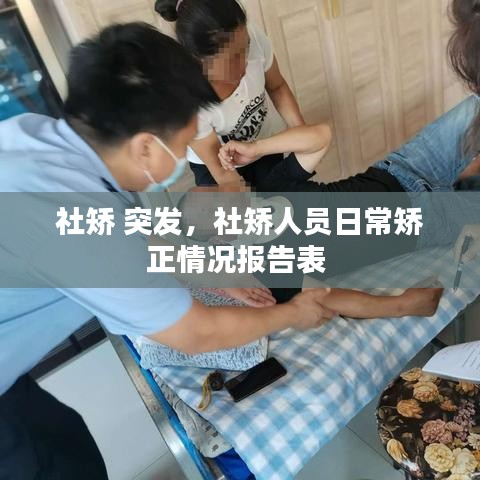 社矫 突发,社矫人员日常矫正情况报告表