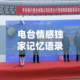 电台情感独家记忆语录,心灵深处的触动瞬间