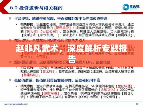 赵非凡武术，深度解析专题报告