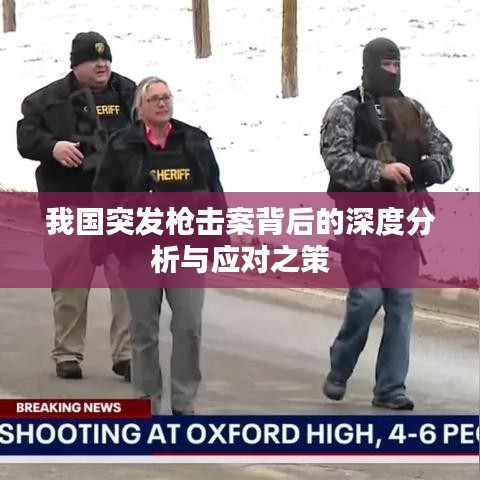 我国突发枪击案背后的深度分析与应对之策