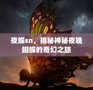 夜蝶sn,揭秘神秘夜晚蝴蝶的奇幻之旅