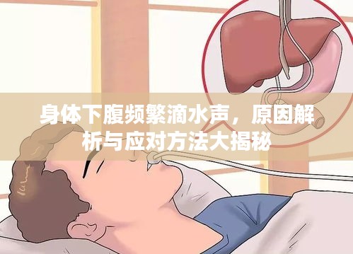 身体下腹频繁滴水声，原因解析与应对方法大揭秘