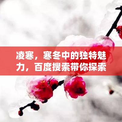 凌寒，寒冬中的独特魅力，百度搜索带你探索更多精彩内容！