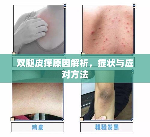 双腿皮痒原因解析，症状与应对方法