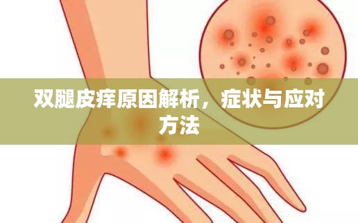 双腿皮痒原因解析,症状与应对方法
