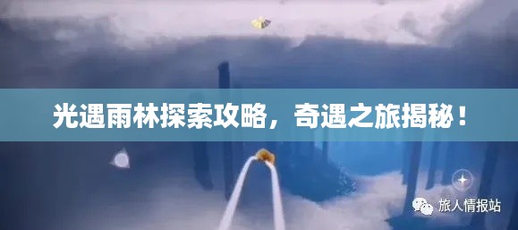 光遇雨林探索攻略,奇遇之旅揭秘!