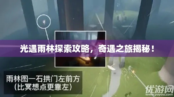 光遇雨林探索攻略,奇遇之旅揭秘!