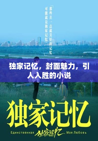 独家记忆，封面魅力，引人入胜的小说