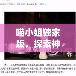 喵小姐独家版,探索神秘世界的独家体验,不容错过!