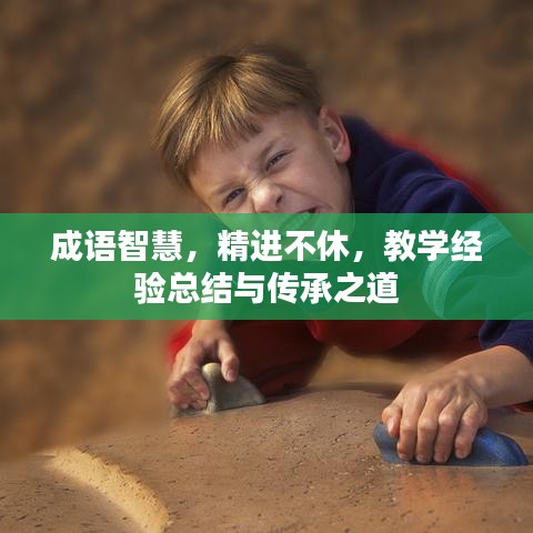 成语智慧,精进不休,教学经验总结与传承之道