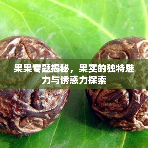 果果专题揭秘,果实的独特魅力与诱惑力探索