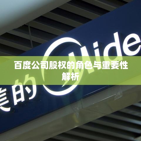 百度公司股权的角色与重要性解析