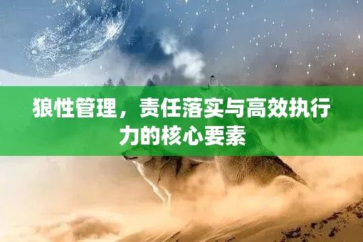 狼性管理,责任落实与高效执行力的核心要素