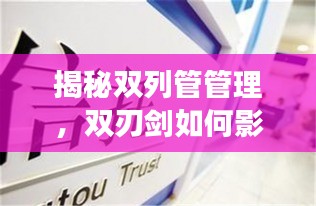 揭秘双列管管理,双刃剑如何影响企业成败?