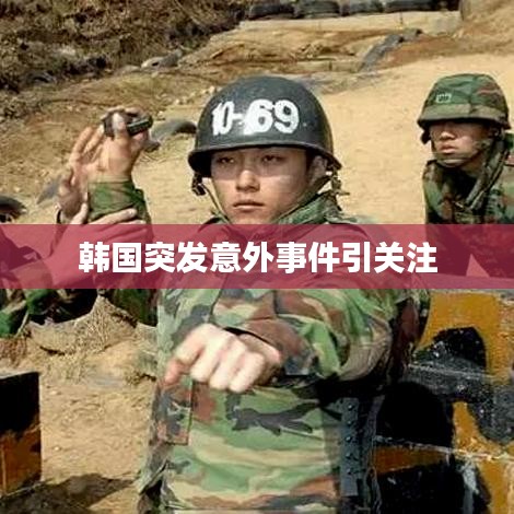 窗明几净 第3页