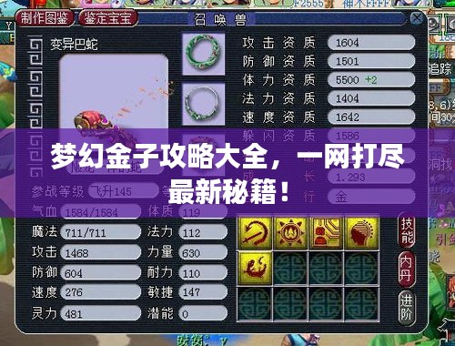 梦幻金子攻略大全，一网打尽最新秘籍！