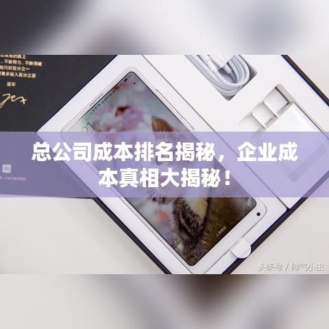 总公司成本排名揭秘,企业成本真相大揭秘!