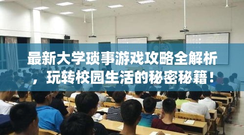 最新大学琐事游戏攻略全解析,玩转校园生活的秘密秘籍!