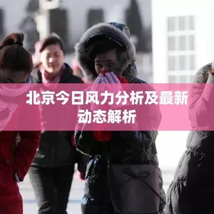 北京今日风力分析及最新动态解析