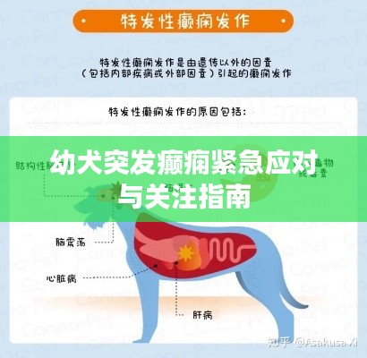 避繁就简 第2页